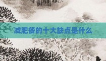减肥餐的十大缺点是什么