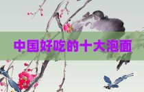中国好吃的十大泡面