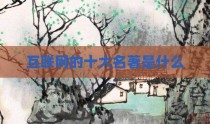 互联网的十大名著是什么