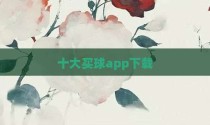 十大买球app下载