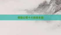 保险公司十大排名车险