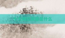 十大网红项目是什么