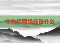 十大招商绝技是什么