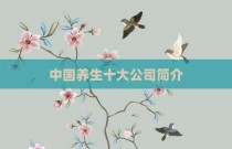 中国养生十大公司简介