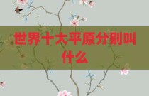 世界十大平原分别叫什么