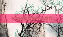 十大稀缺度是什么意思