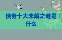 债务十大未解之谜是什么