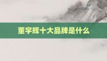 董宇辉十大品牌是什么