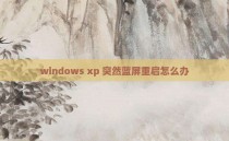 windows xp 突然蓝屏重启怎么办