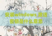 安装windows 激活密钥是什么意思