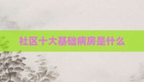 社区十大基础病房是什么