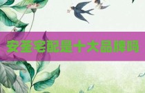 安荃宅配是十大品牌吗