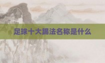 足球十大踢法名称是什么