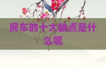房车的十大缺点是什么呢
