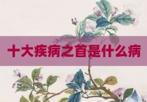 十大疾病之首是什么病