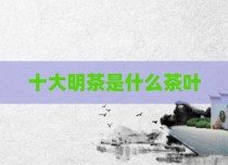 十大明茶是什么茶叶