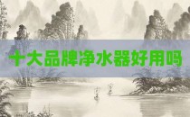 十大品牌净水器好用吗