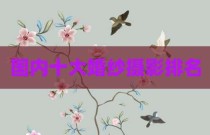 国内十大婚纱摄影排名