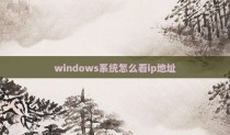 windows系统怎么看ip地址