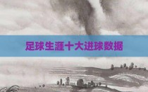 足球生涯十大进球数据