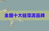 全国十大硅藻泥品牌