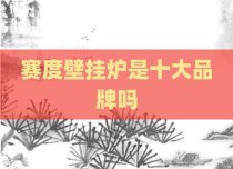 赛度壁挂炉是十大品牌吗