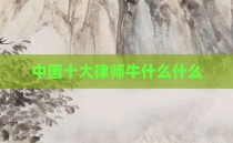 中国十大律师牛什么什么