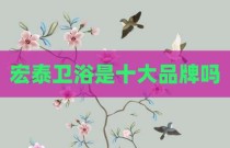 宏泰卫浴是十大品牌吗