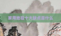 家用地毯十大缺点是什么