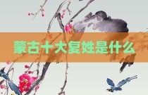 蒙古十大复姓是什么