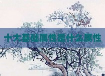 十大基础属性是什么属性
