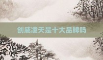 创威凌天是十大品牌吗