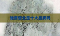 驰贯管业是十大品牌吗