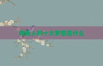 海南人的十大梦想是什么