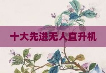 十大先进无人直升机