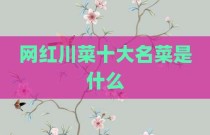网红川菜十大名菜是什么