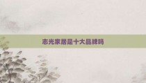志光家居是十大品牌吗