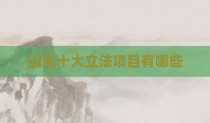 山东十大立法项目有哪些