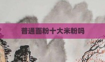 普通面粉十大米粉吗