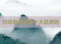 约哈斯吊顶是十大品牌吗