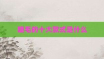 睫毛的十大款式是什么