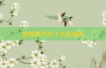 欧情燃气灶十大品牌吗
