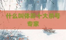 什么叫体彩十大杀号专家