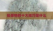 拍景物的十大技巧是什么
