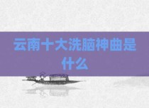 云南十大洗脑神曲是什么