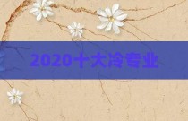2020十大冷专业
