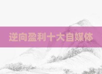 逆向盈利十大自媒体