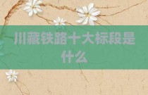 川藏铁路十大标段是什么