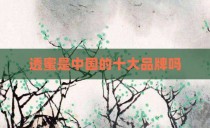 透蜜是中国的十大品牌吗