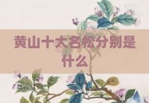 黄山十大名松分别是什么